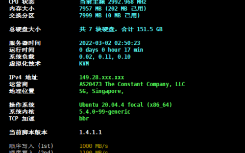 vultr  4核8G160G SSD 新加坡VPS 新加坡机房评测