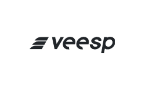 Veesp：俄罗斯/拉脱维亚不限流量VPS，HDD硬盘低至6美元/月，SSD硬盘5美元/月起