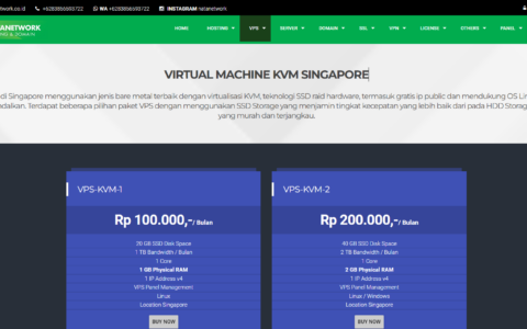 Natanetwork：新加坡vps/KVM/1核/1G内存/20G SSD/1G端口/1T流量，8美元/月