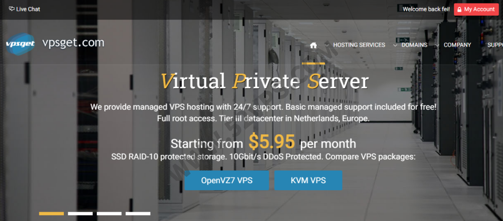 VPSGet：荷兰VPS，1核1GB内存20G SSD/100Mbps带宽,500G流量，.55/月